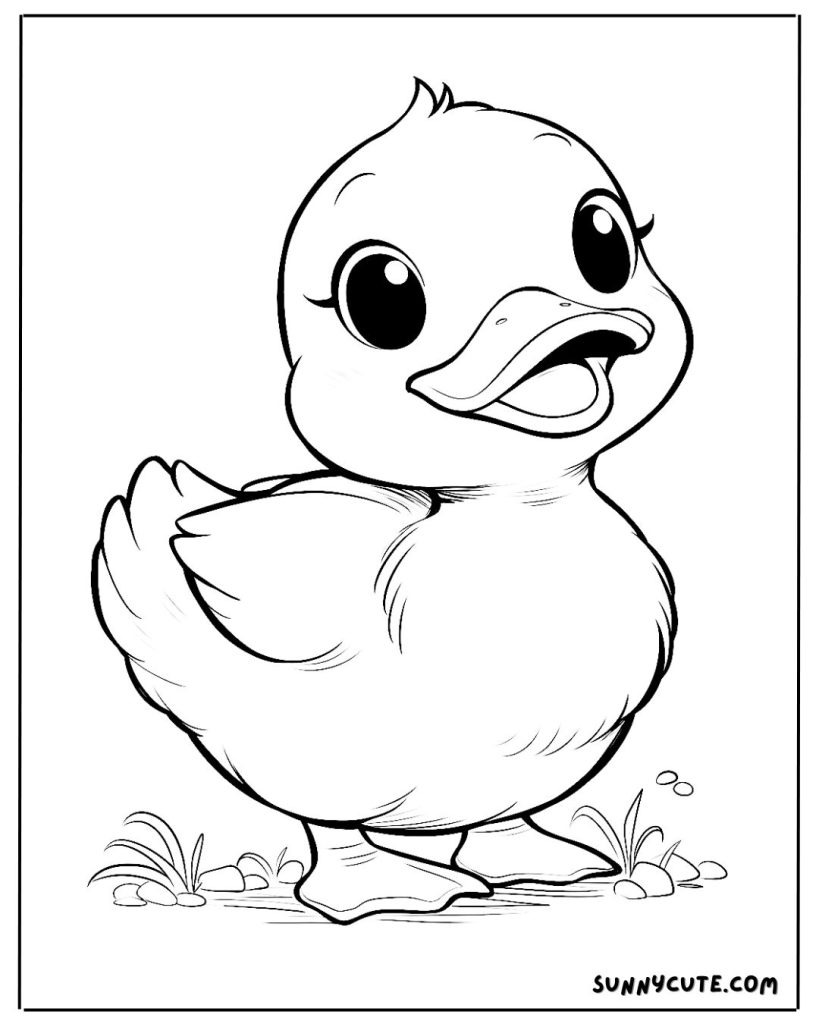 Cute duck Coloring Page