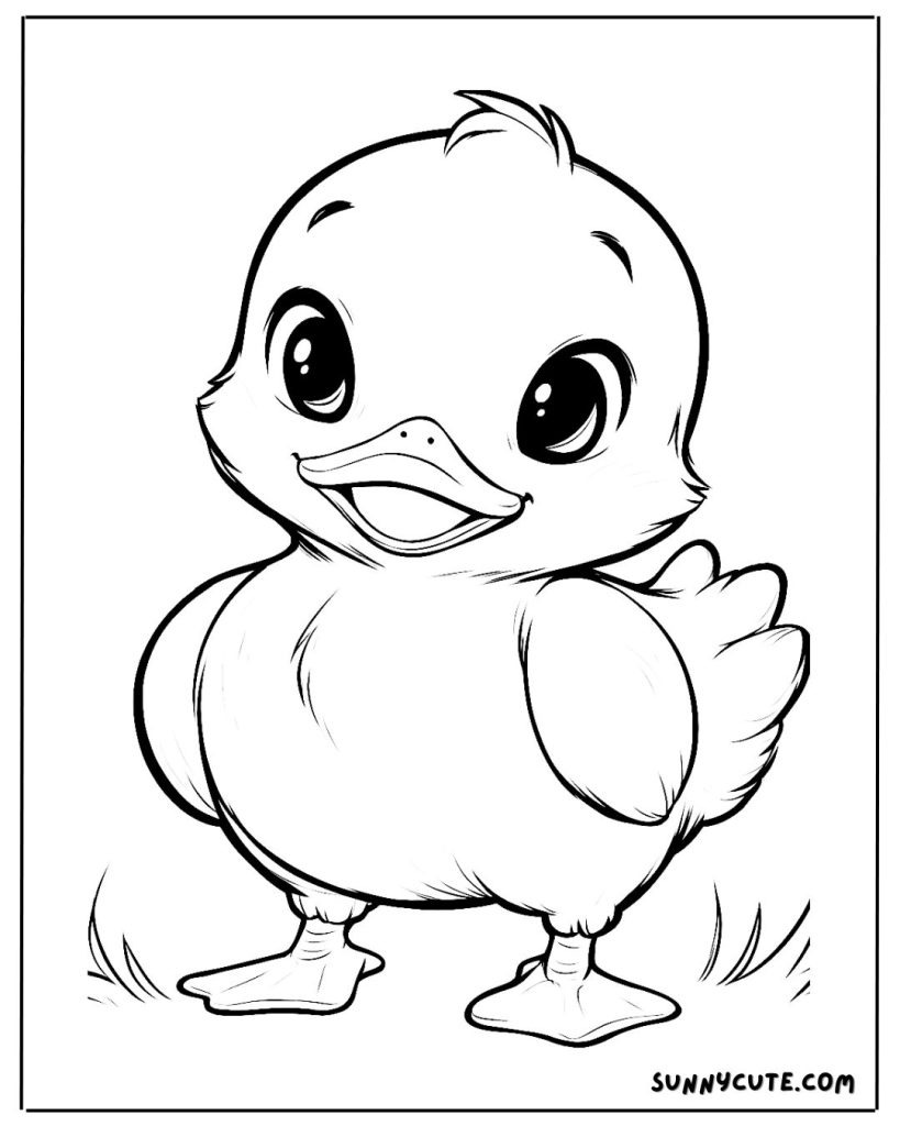 Baby duck coloring page