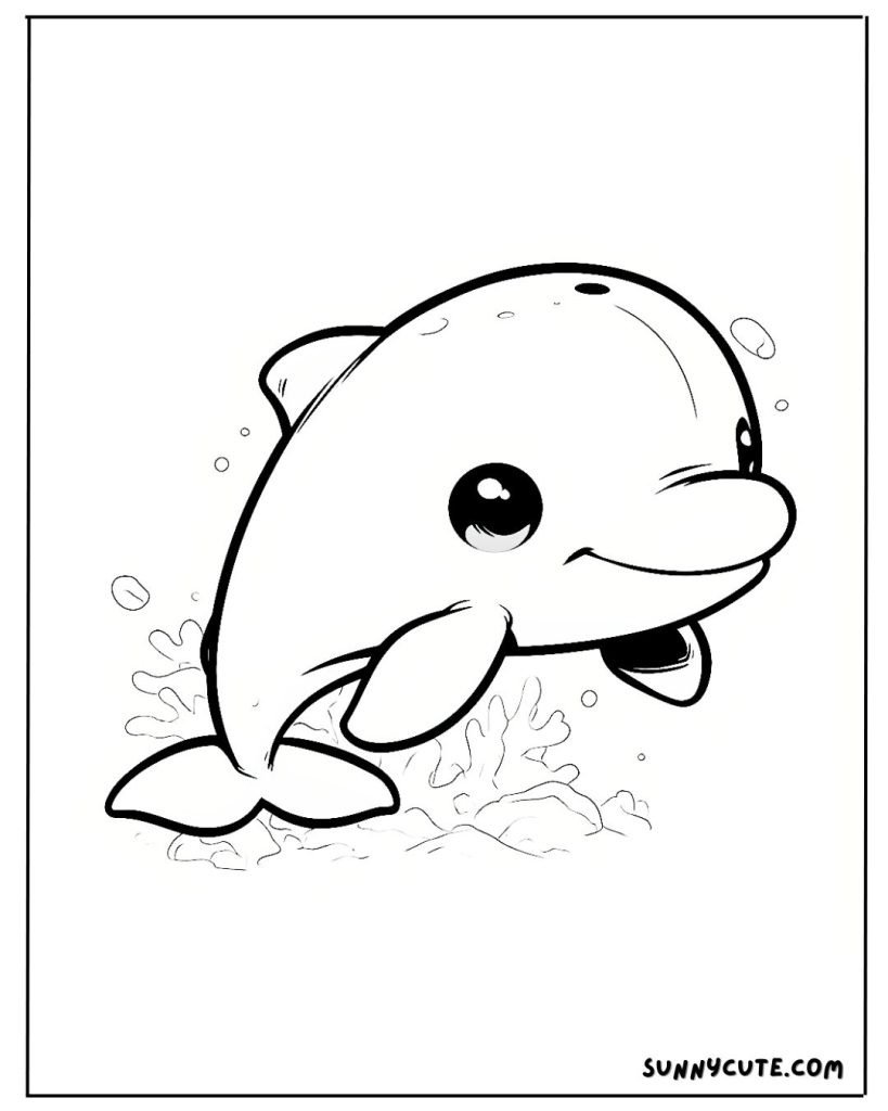 Dolphin coloring page